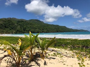 Plage à proximité