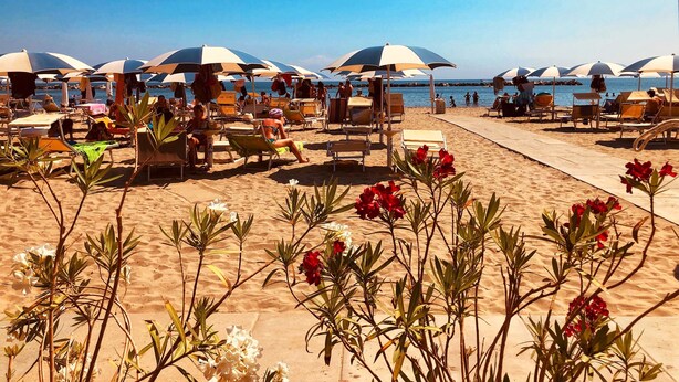 A beach with rows of sun loungers and umbrellas, a sandy walkway, and some flowering plants in the foreground. - Modern apartment on the Adriatic coast. Only 2 minutes from the beach (Lido Adriano)