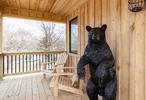 Uklassifisert bilde, 4 av 17, knapp