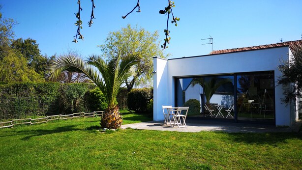 A modern house with a large glass door, a lawn, and a palm tree.