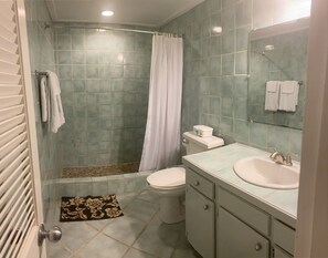 Doccia, asciugamani, sapone, carta igienica