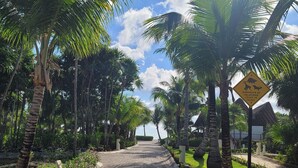 A paved pathway lined with palm trees and a clear sky. - CARIBBEAN BREEZE CONDO (Akumal)