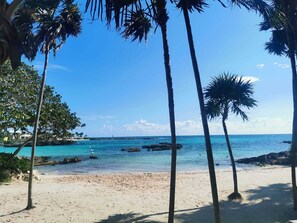 Beach nearby, sun-loungers, beach towels - CARIBBEAN BREEZE CONDO (Akumal)