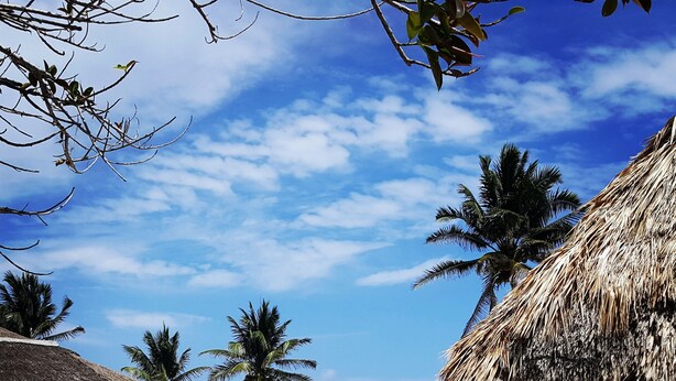 A beach scene with thatched-roof huts, palm trees, and a clear blue sky. - CARIBBEAN BREEZE CONDO (Akumal)