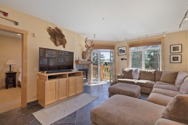 Télévision, cheminée, livres, chaßne hi-fi