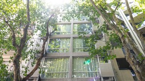 Un immeuble à plusieurs étages, doté de grandes fenêtres et de balcons, et entouré d’arbres.