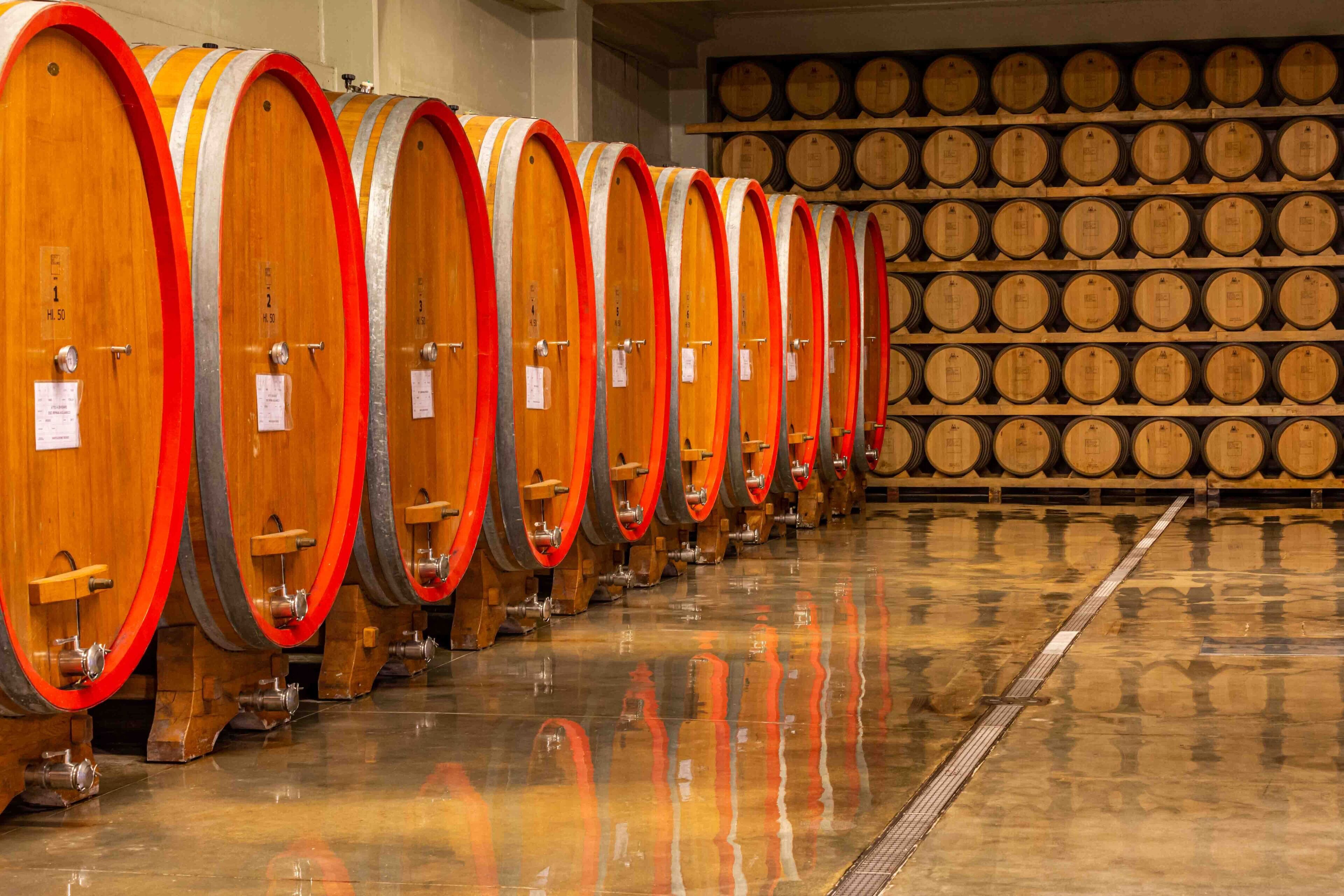 A row of wooden wine barrels with red bands, lined up against a wall of similar barrels.