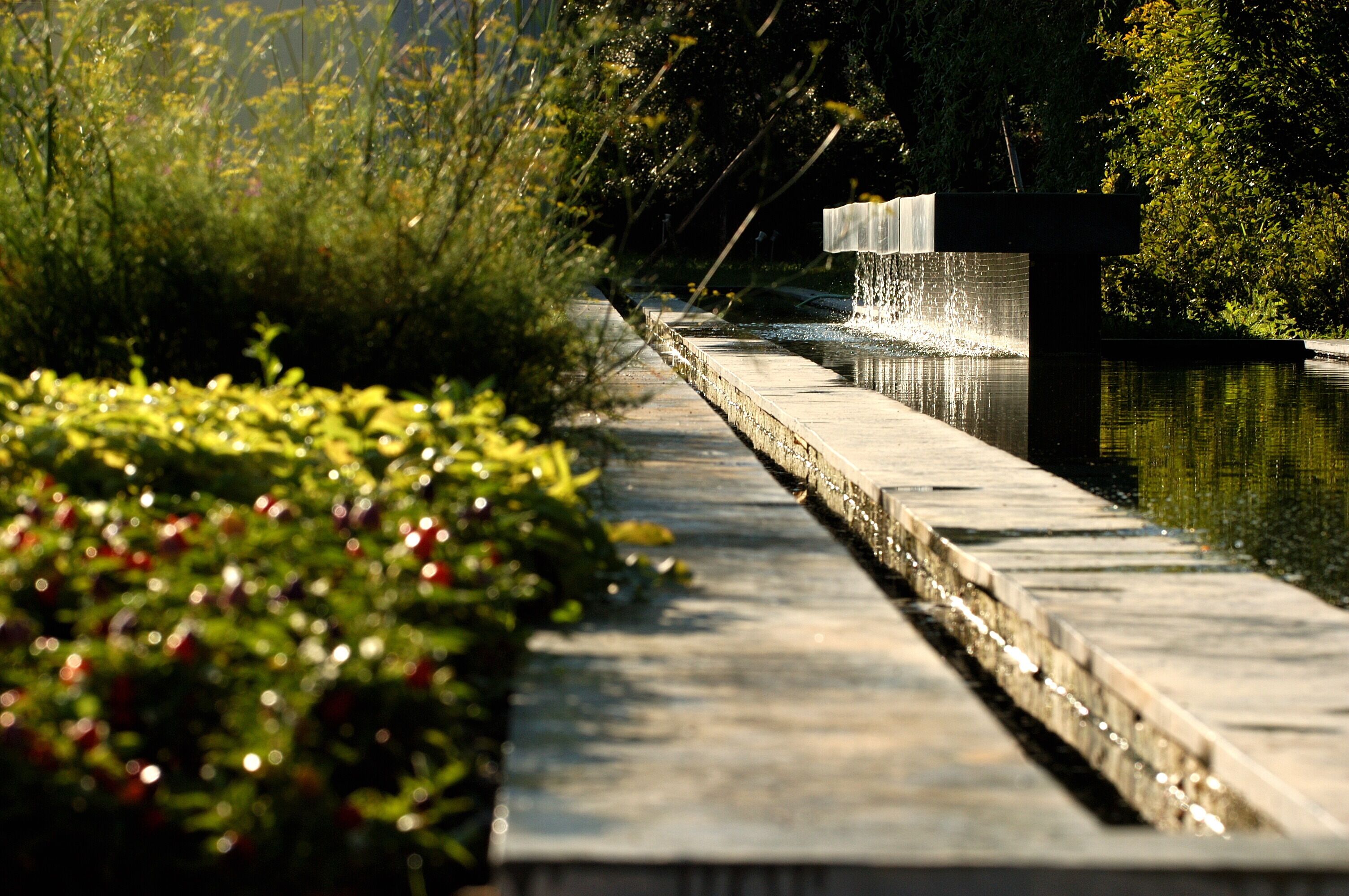 Un chemin en béton longe un plan d’eau agrémenté d’une cascade, le tout étant entouré de verdure.