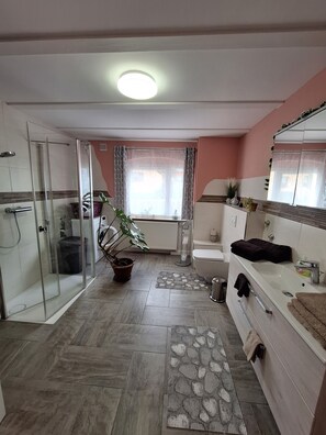 Shower, hair dryer, towels, soap