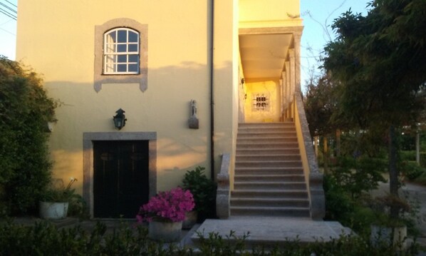 A building with a staircase leading to a door, surrounded by greenery and a small window.