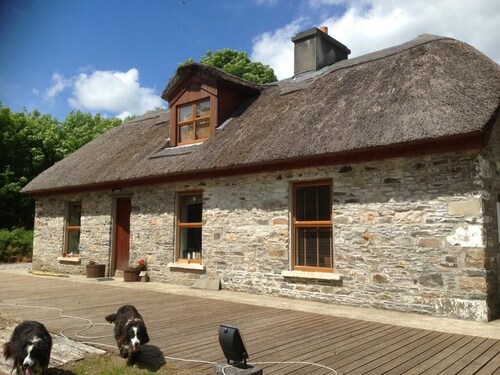 Thatched Cottage Stud along the Wild Atlantic Way