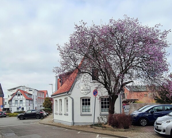 Un edificio bianco con tetto rosso e un grande albero con fiori rosa di fronte.