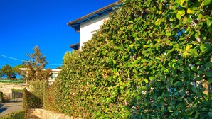 A stone pathway leading to a building with a white facade and blue trim, surrounded by lush green foliage. - House with private garden, pool, jacuzzi and electric bikes (Bordighera)