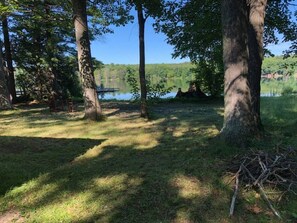 A natural setting with trees and a lake.
