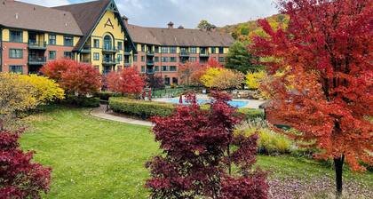 Heated Pool Hot Tubs Sauna Gym Deck Mtn Front Appalachian @ Mtn Creek #240