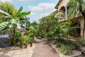 A paved pathway flanked by lush tropical plants and a building with arched windows.