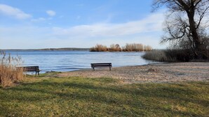 Un parc au bord du lac, avec deux bancs et un arbre.