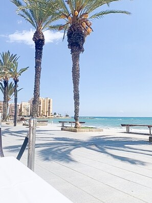 Eine Uferpromenade mit Palmen und Bänken, die zum Strand führt.