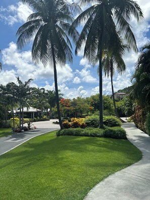 Enceinte de l’hébergement