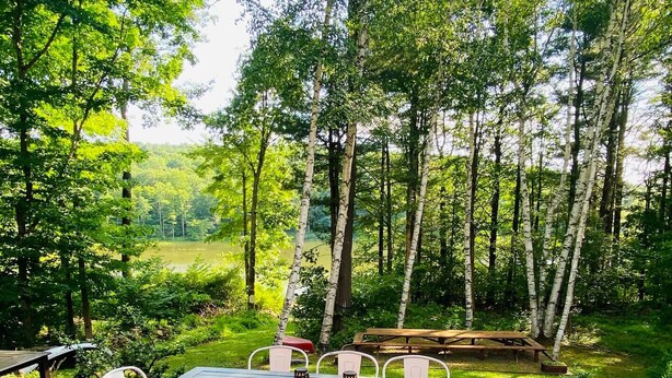 Eine Terrassenanlage mit einem rechteckigen Tisch und weißen Stühlen, umgeben von einem bewaldeten Gebiet.