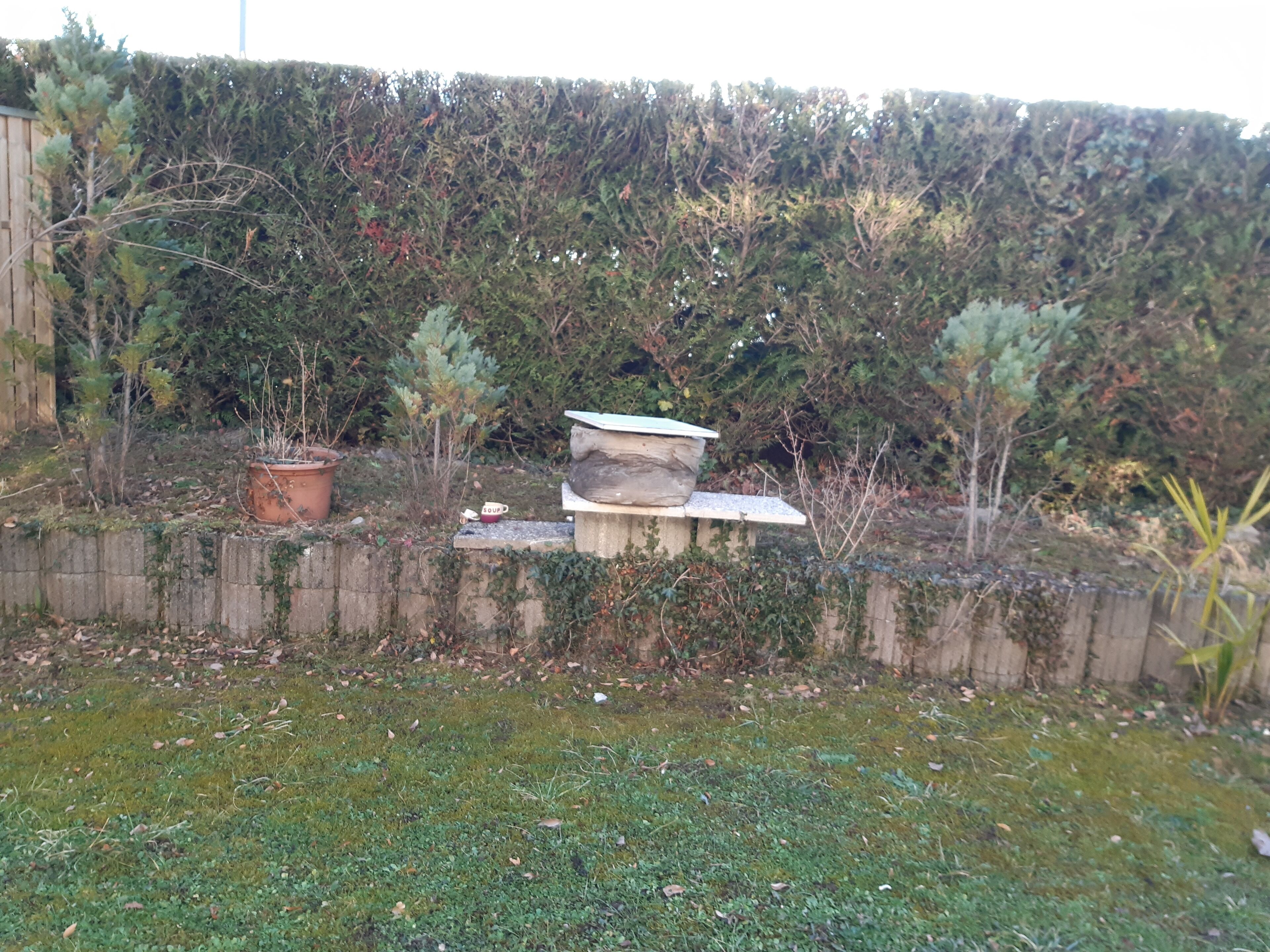 A garden with a wooden fence, a stone bench, and a potted plant.