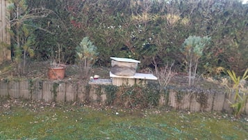 A garden with a wooden fence, a stone bench, and a potted plant.