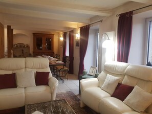 Télévision, cheminée, livres, chaîne hi-fi