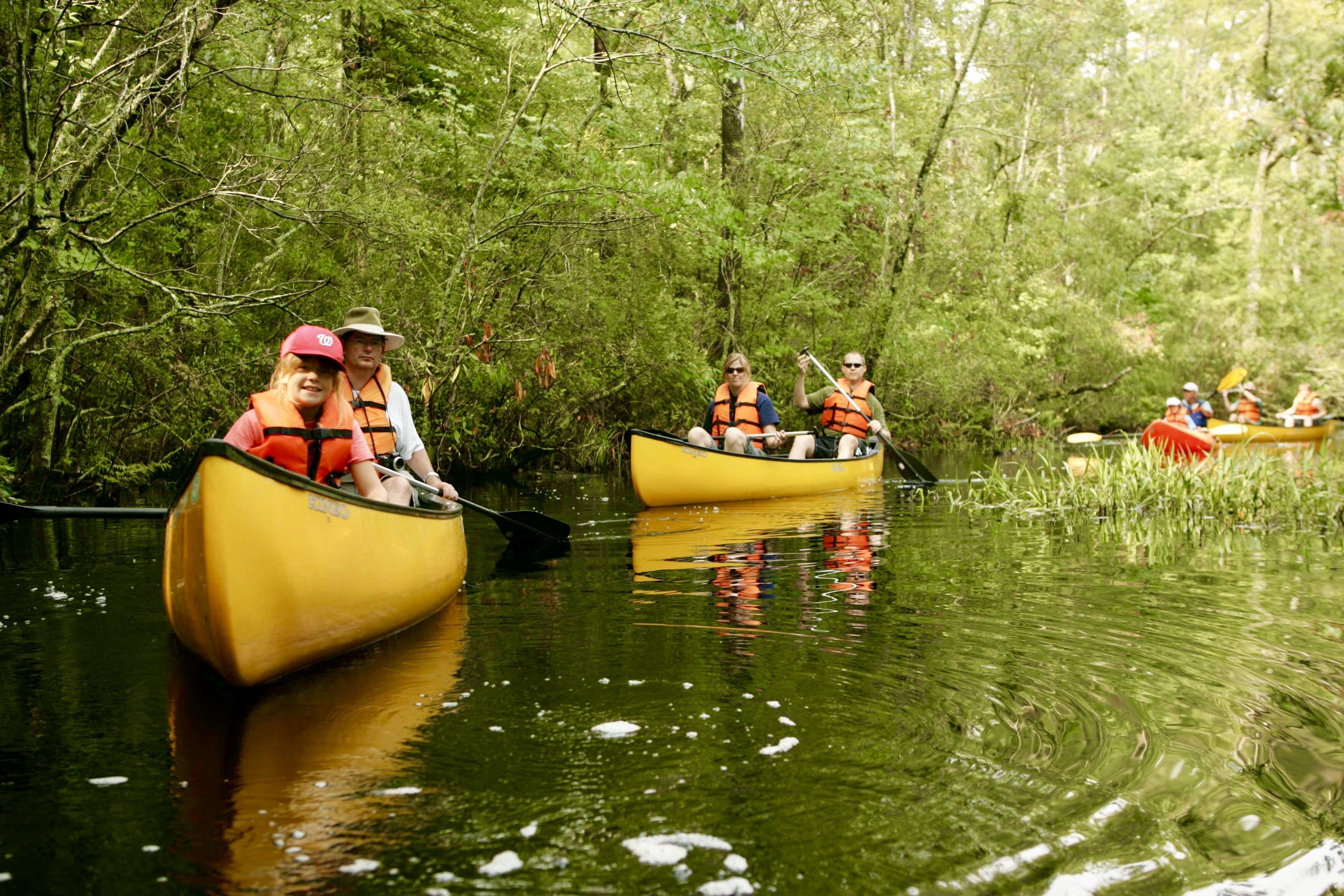 A group of people in canoes on a calm river surrounded by dense greenery.
