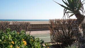 Vista de la playa con un muro de hormigón, palmeras y arbustos.