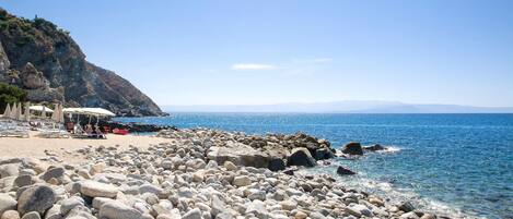 Vlak bij het strand, vissen