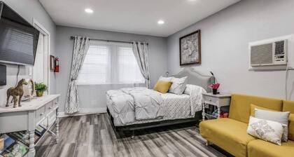 Artistic Alamo Studio