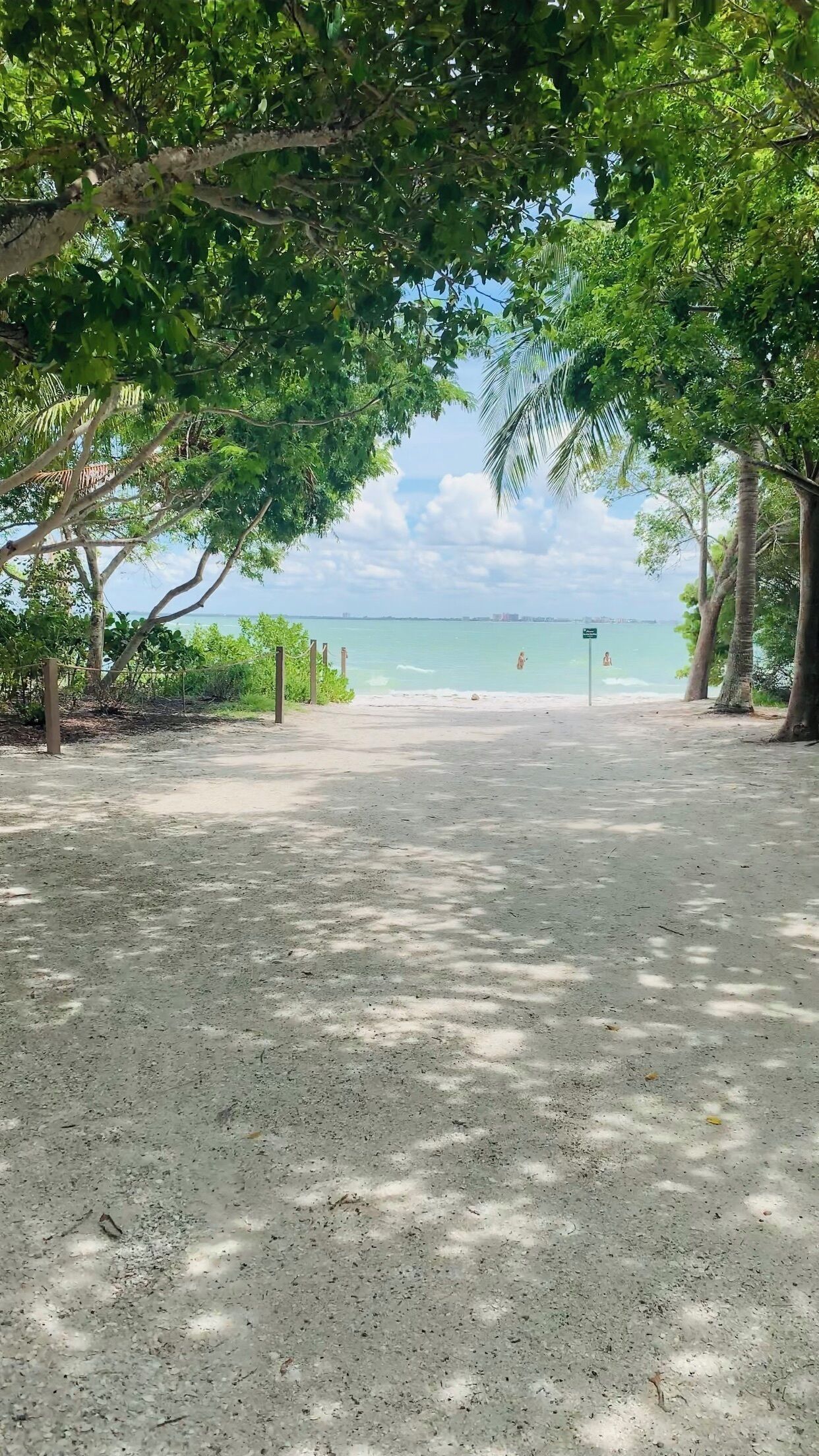Camastros y toallas de playa 