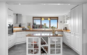 Fridge, oven, stovetop, dishwasher