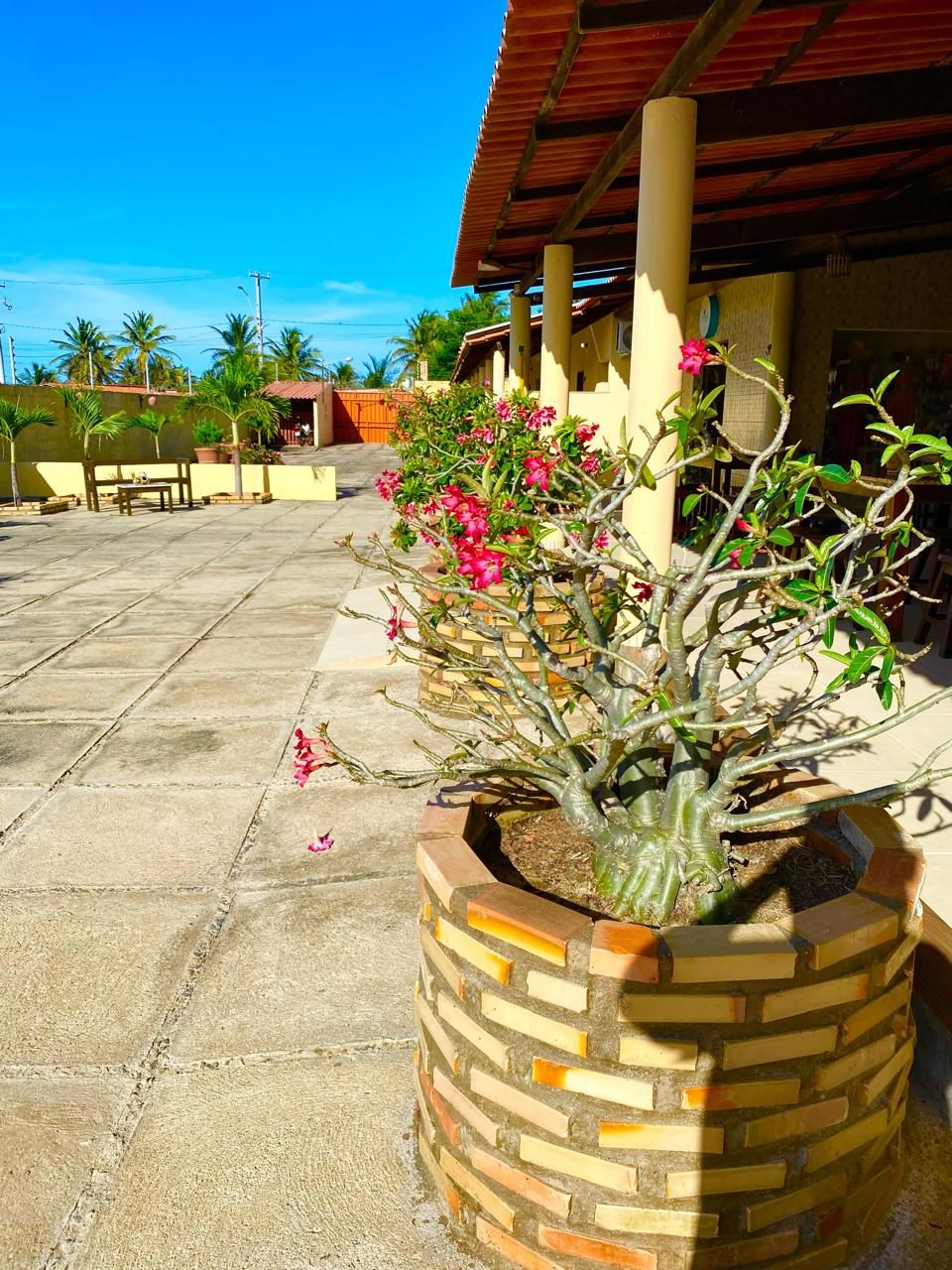 A courtyard with a potted plant, a bench, and a building with a red roof.