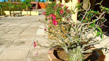 A courtyard with a potted plant, a bench, and a building with a red roof.