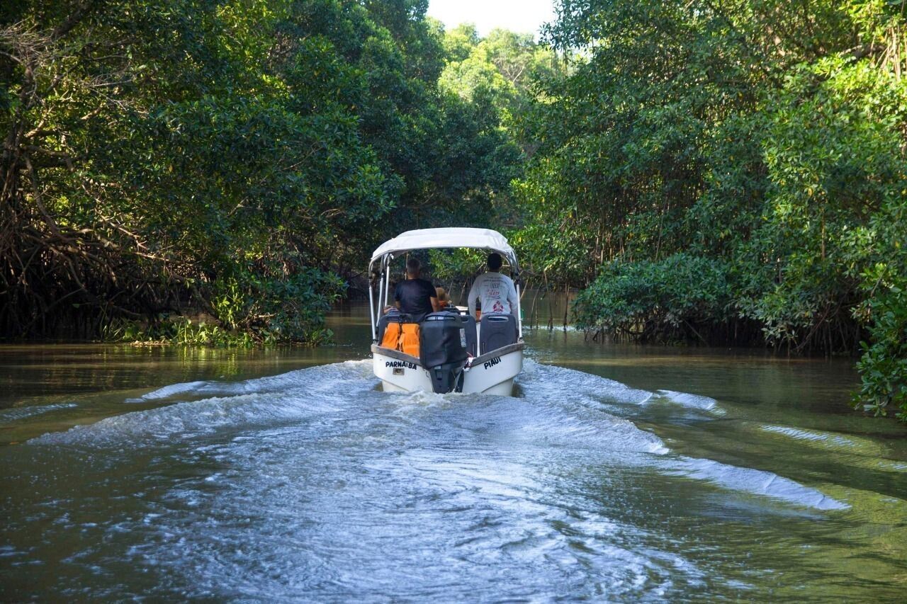 Ein Boot fährt durch einen von dichtem Grün gesäumten Fluss.
