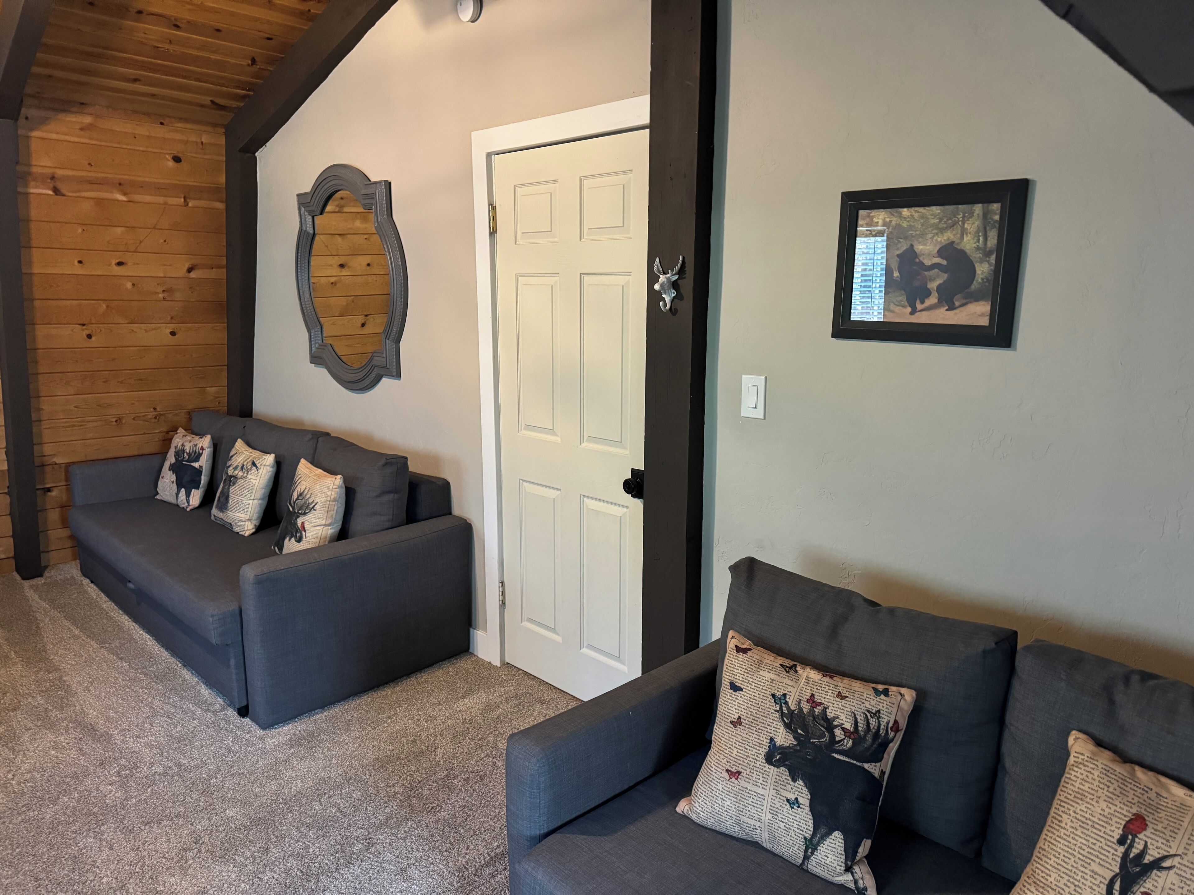 Smart TV, fireplace, DVD player, books