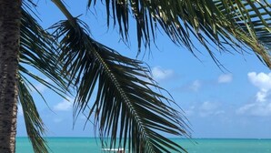 A beach with palm trees, clear blue water, and a boat in the distance. - Pousada La Riviera (Maragogi)