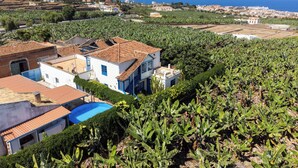 Un quartier résidentiel avec des maisons, une piscine et une vue sur la mer.