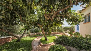 Un jardin avec un chemin sinueux, un arbre et un bâtiment doté d’une fenêtre bleue.