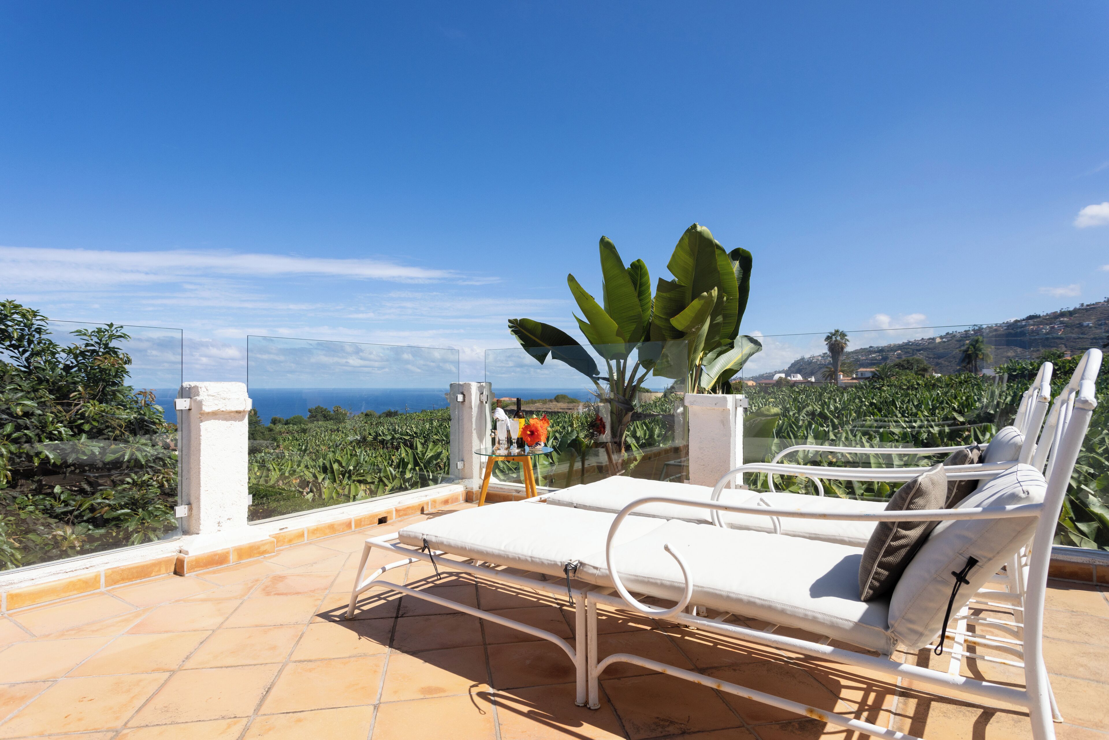 テラス / パティオ