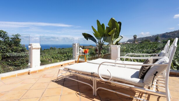 Une terrasse ensoleillée avec un lit en métal blanc, une plante en pot et une vue dégagée sur la mer et les collines.