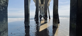 DOG FRIENDLY-OCEAN VIEW CONDO-OCEAN FRONT BUILDING! BOOK NOW!!