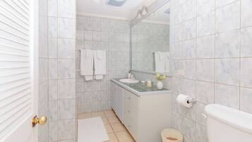 Shower, towels, soap, toilet paper