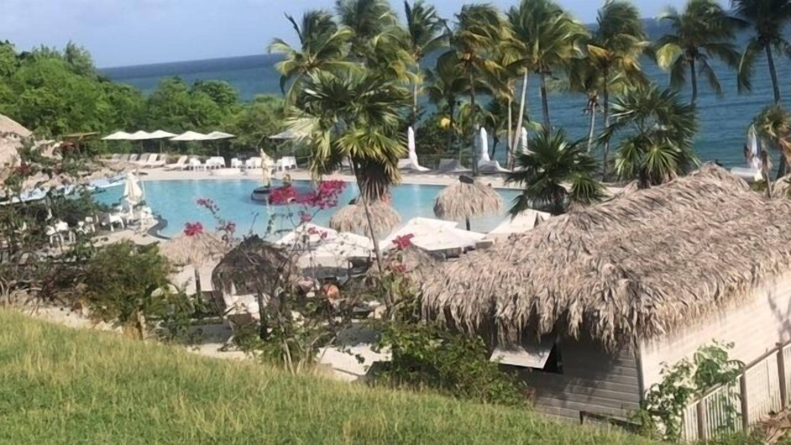 A resort with a pool, palm trees, and a thatched-roof hut.