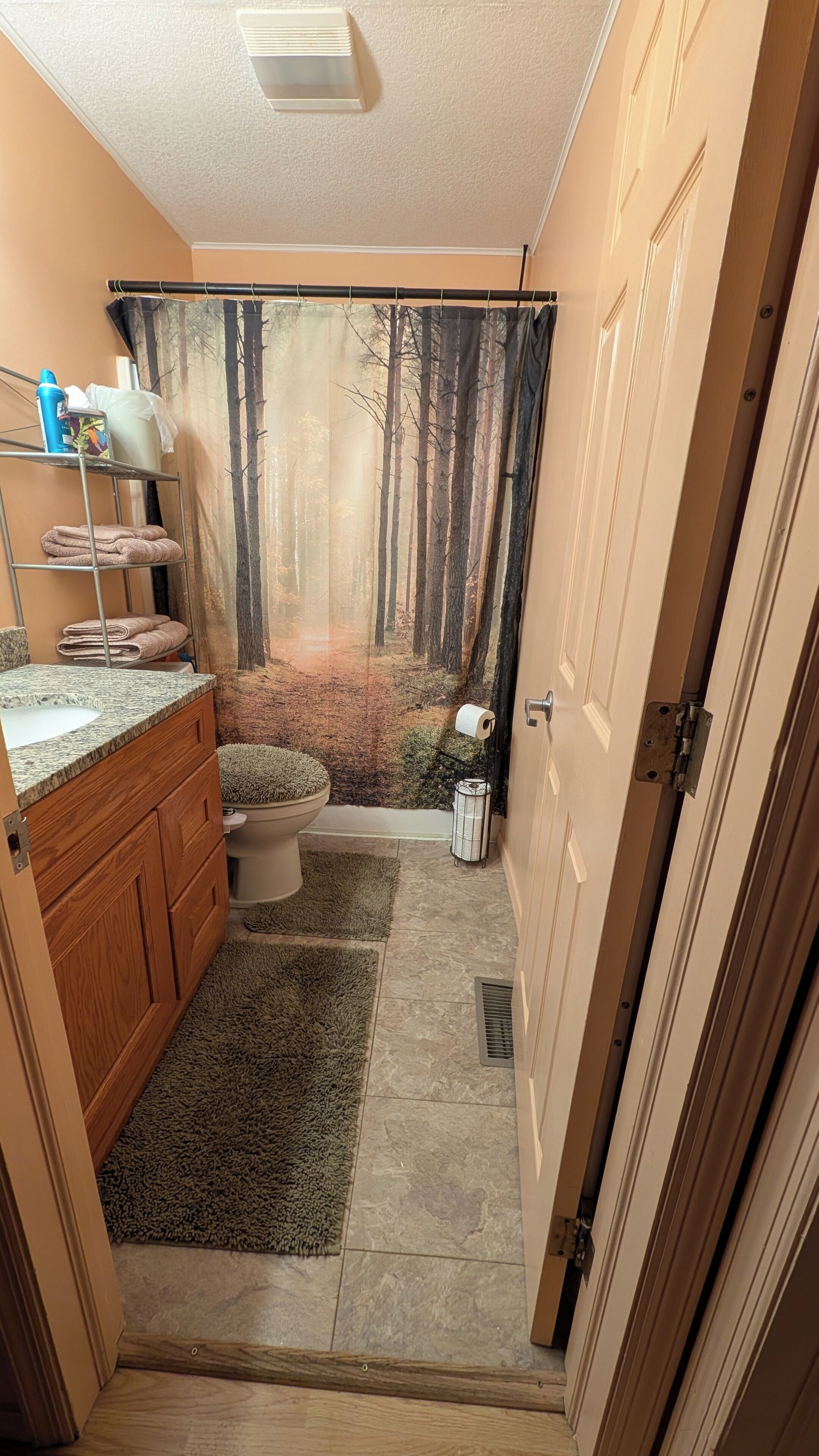 Bathtub, bidet, towels, soap