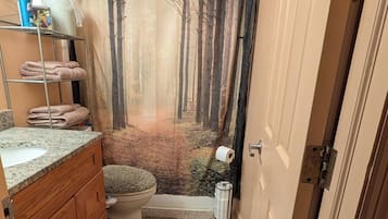 Bathtub, bidet, towels, soap