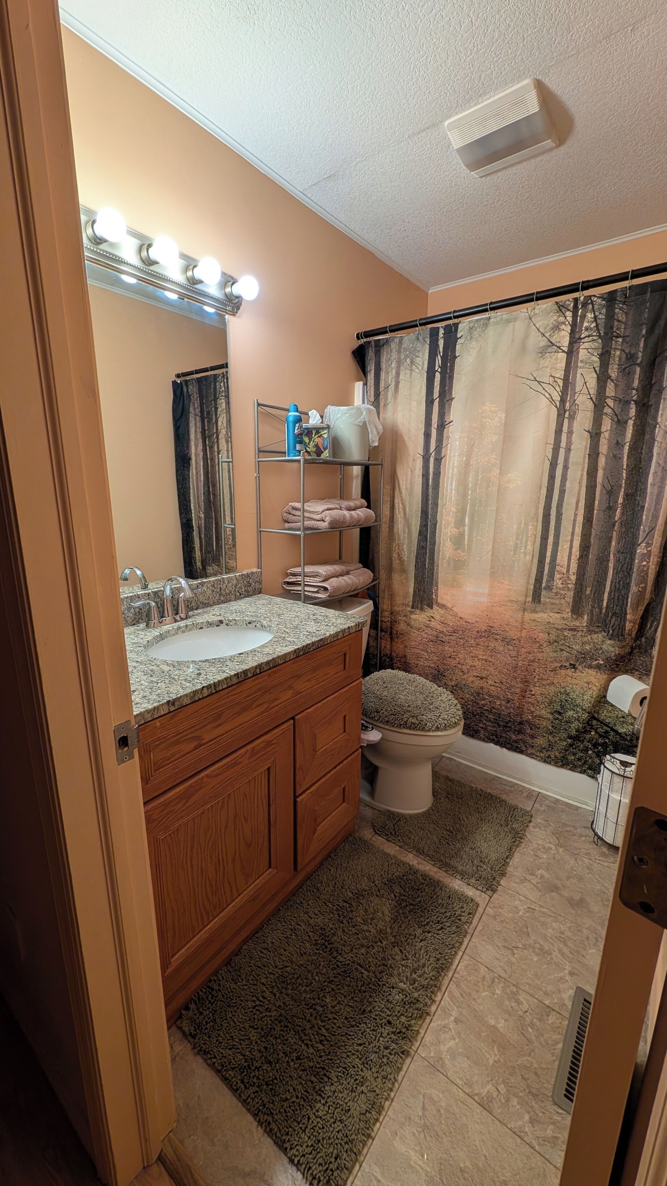 Bathtub, bidet, towels, soap