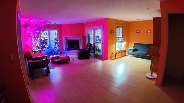 Una sala de estar con chimenea, un sofá, una mesa de centro y una planta.
