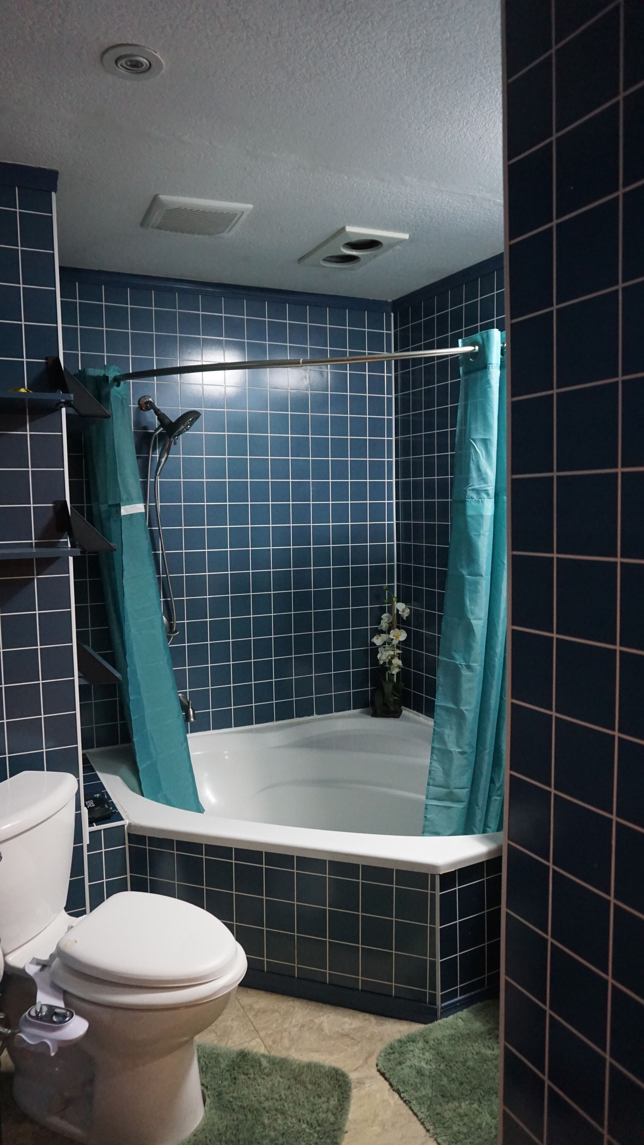 浴槽、ビデ、タオル、石鹸